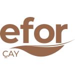 Efor Çay
